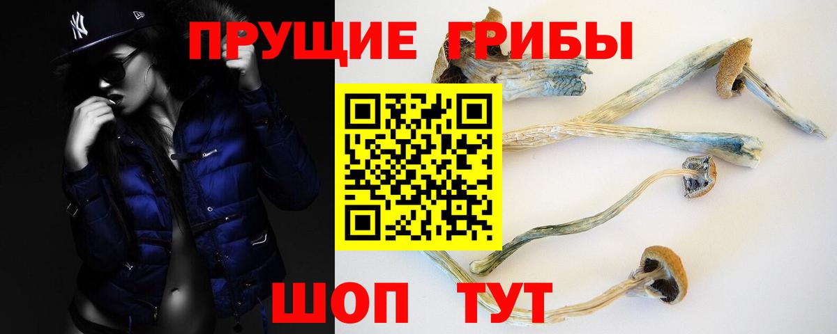 Псилоцибиновые грибы прущие грибы Кемерово